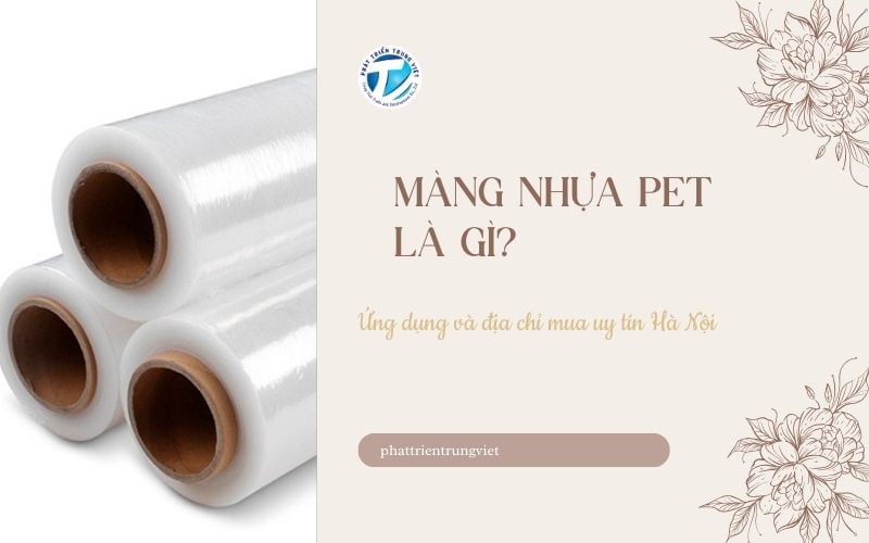 Màng nhựa PET là gì? Phân loại và địa chỉ mua uy tín Hà Nội